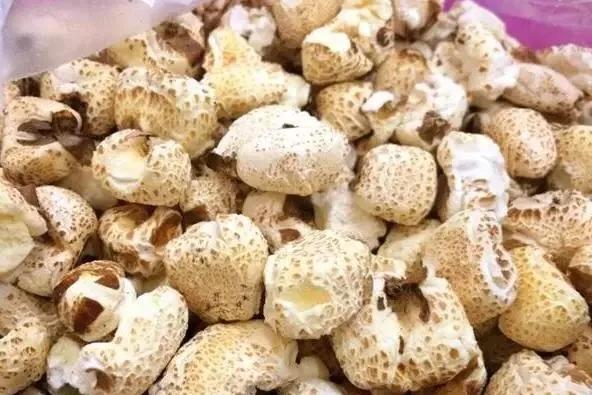 北方三口之家买100斤大白菜囤起来，南方人表示瑟瑟发抖，你知道的南北差异有哪些？