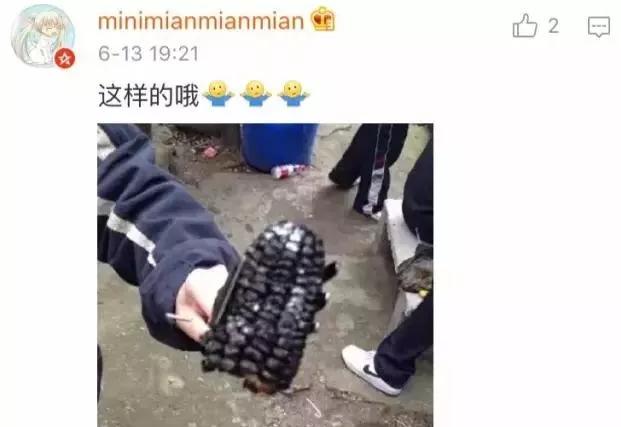 北方三口之家买100斤大白菜囤起来，南方人表示瑟瑟发抖，你知道的南北差异有哪些？