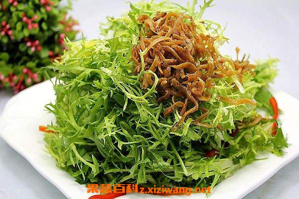 苦菊的功效与作用 苦菊的药用价值