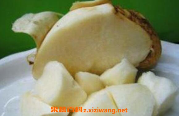 土瓜怎么吃 土瓜的食用方法