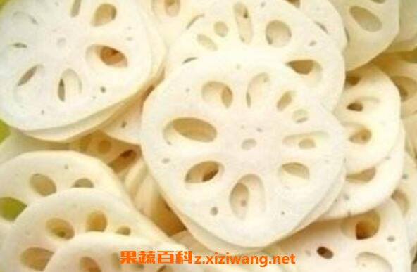白莲藕的功效与作用