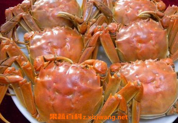 清水蟹怎么做好吃 清水蟹的做法步骤教程