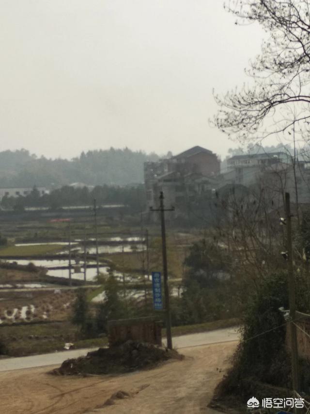 你家乡的方言中有哪些生动形象但普通话中没有的词?