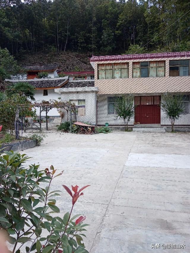 甘肃的黄土高坡感觉土挺厚的,怎么只有黄土不长树呢?
