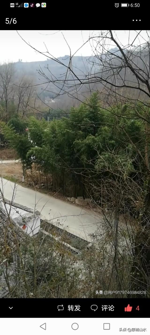 甘肃的黄土高坡感觉土挺厚的,怎么只有黄土不长树呢?