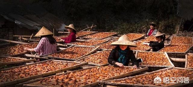浙江的秋天有哪些景观可以看？