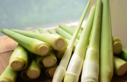 茭白怎么保存 茭白的黑点是什么物质