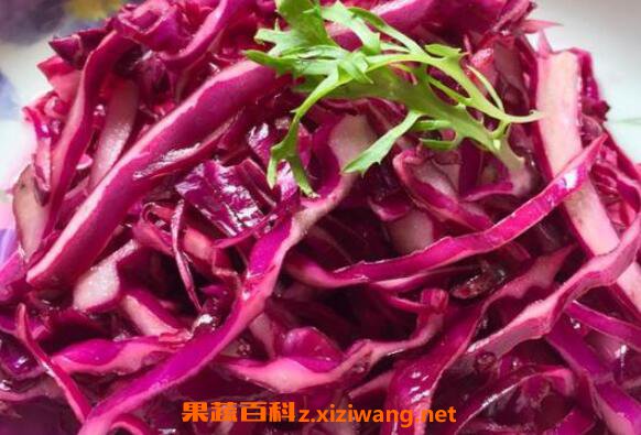 紫甘蓝的功效与作用 炒紫甘蓝的禁忌