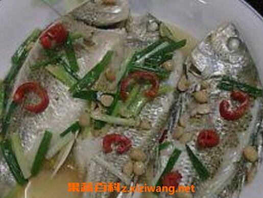 黄墙鱼的作用与功效