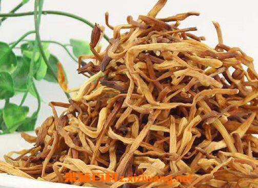 黄花菜的功效与作用 黄花菜有催奶作用吗