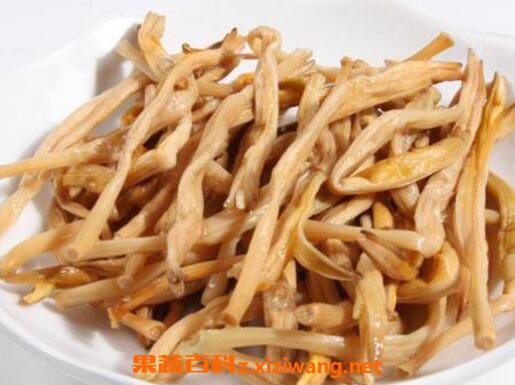 黄花菜的功效与作用 黄花菜有催奶作用吗