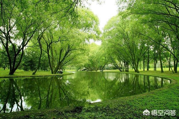 夏天去上海旅游有什么建议么?