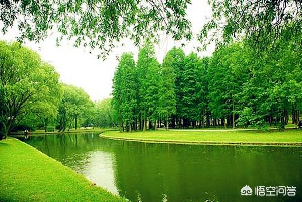 夏天去上海旅游有什么建议么?