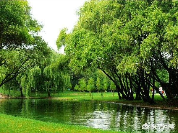 夏天去上海旅游有什么建议么?