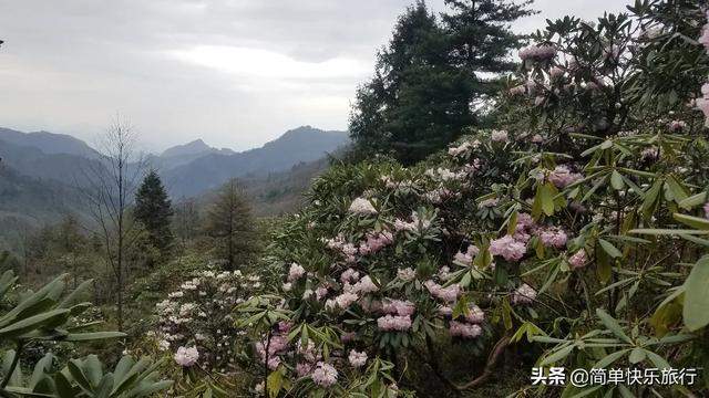 西安周边有哪些自驾游的好去处？