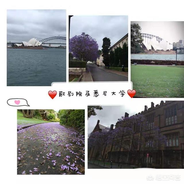 哪些国家适合自驾游？