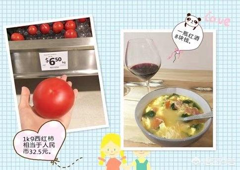 哪些国家适合自驾游？
