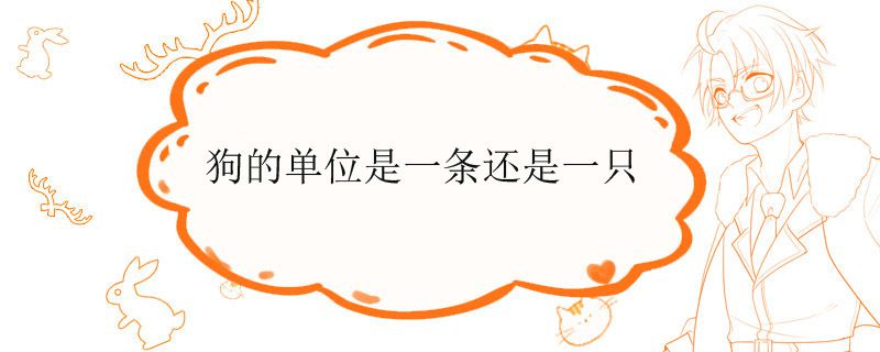 狗的单位是一条还是一只
