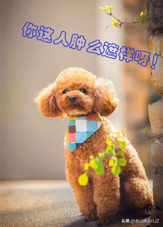 深圳有没有哪些景点适合一个人去的?