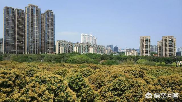 深圳有没有哪些景点适合一个人去的?