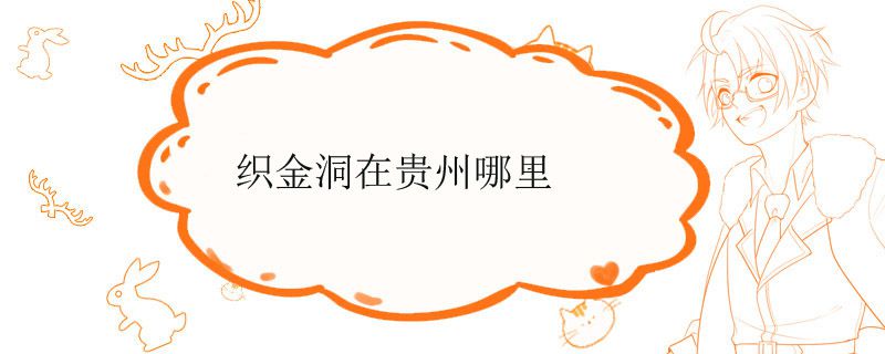 织金洞在贵州哪里