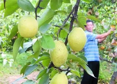 冬天去青島，哪里好玩？