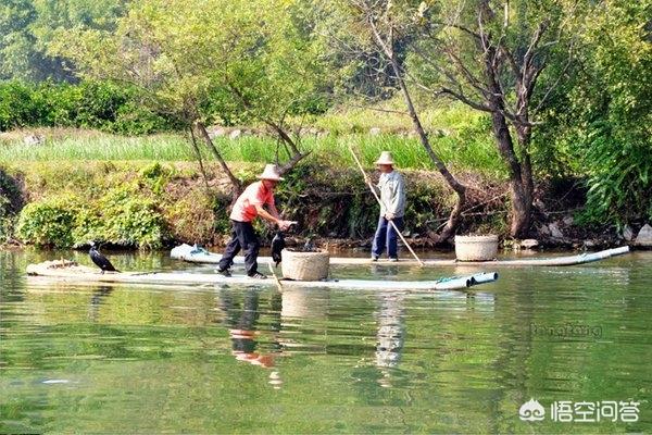 春天去桂林旅游，有哪些景点比较好？