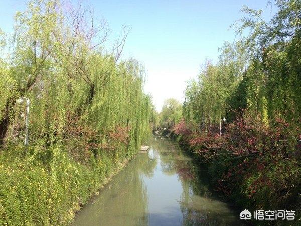 揚州	適合大學生旅游的地方有哪些？