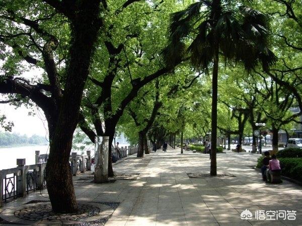 桂林	適合大學(xué)生旅游的地方有哪些？
