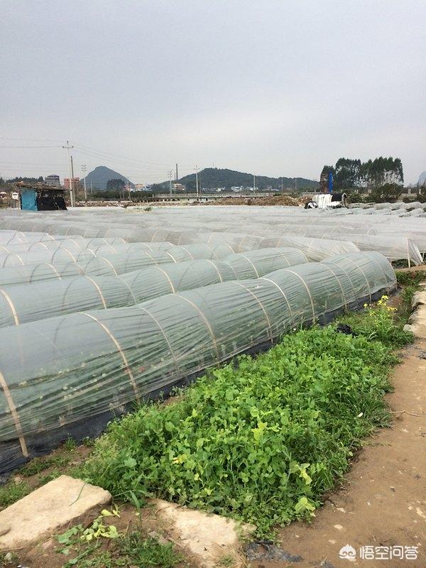 桂林	適合大學(xué)生旅游的地方有哪些？