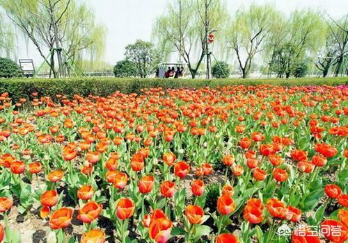 湖州	適合大學生旅游的地方有哪些？