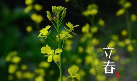 躲春的注意事项 躲春可以躲被子里吗