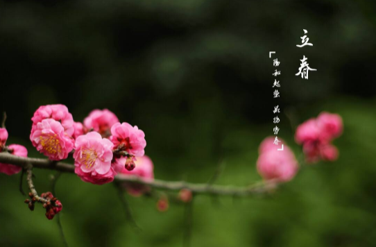 躲春的注意事项 躲春可以躲被子里吗