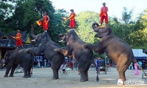 有半个月时间,西双版纳旅游,有什么好的推荐?