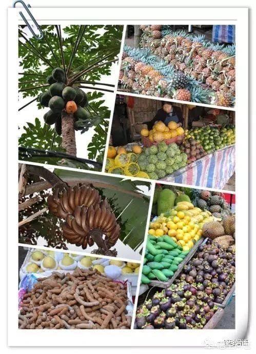 有半个月时间,西双版纳旅游,有什么好的推荐?