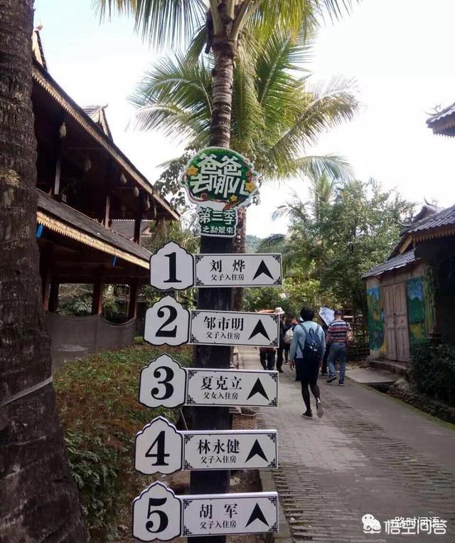 有半个月时间,西双版纳旅游,有什么好的推荐?