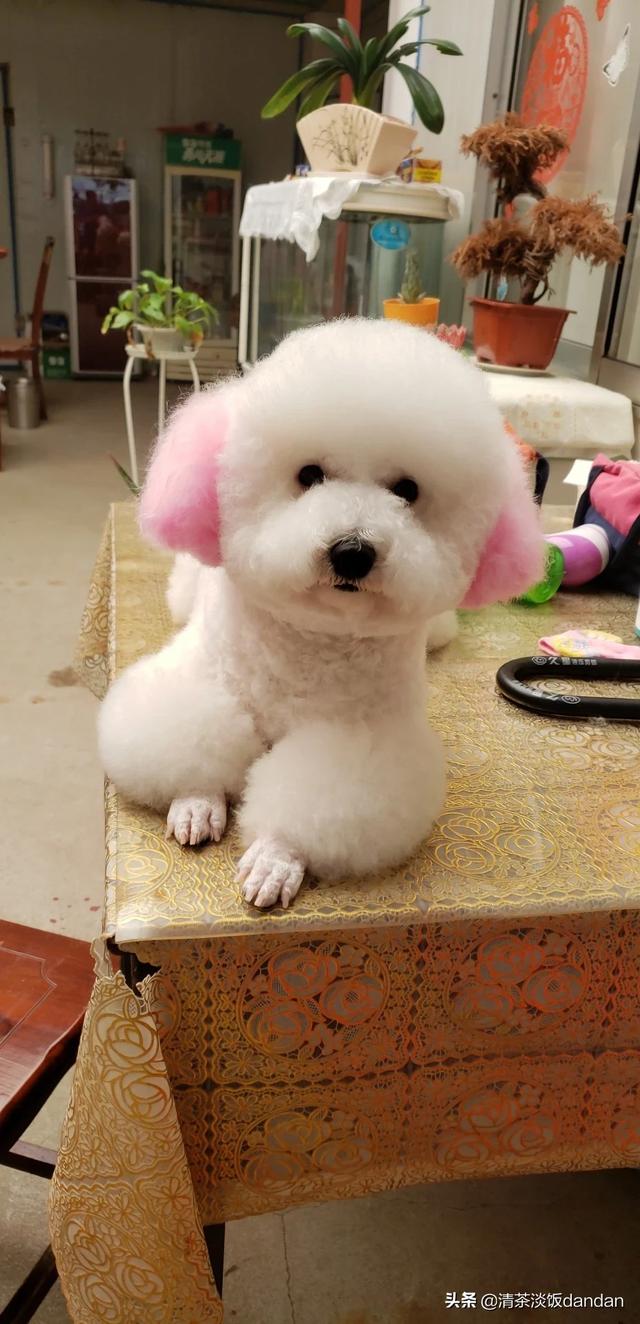 你怎么看自驾游路上碰见的形形色色的网红?