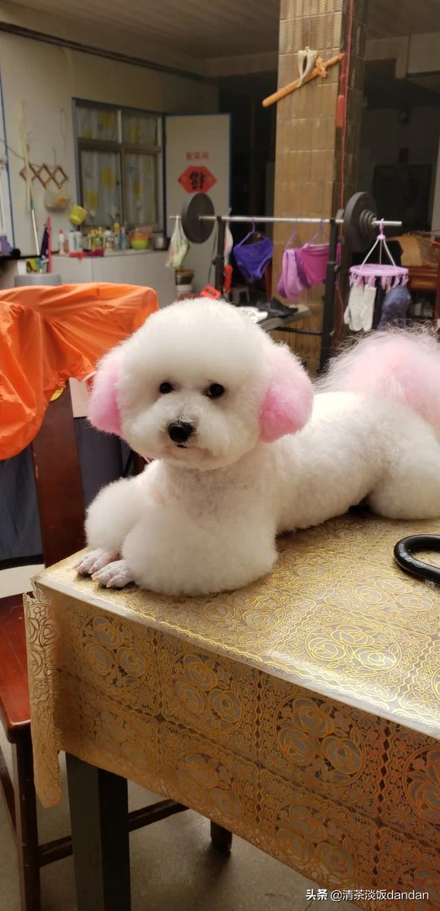 你怎么看自驾游路上碰见的形形色色的网红?