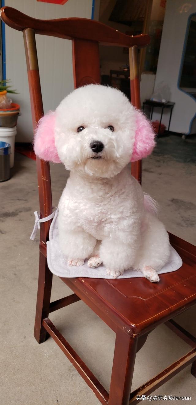 你怎么看自驾游路上碰见的形形色色的网红?