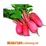 如何腌制水萝卜 水萝卜的腌制方法