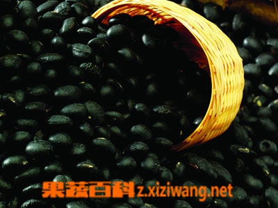 黑豆的功效和作用