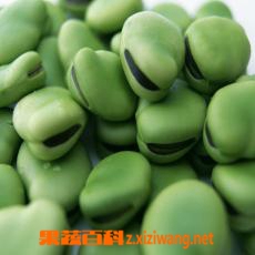 麻辣五香蚕豆的做法