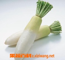 白萝卜怎么炒好吃 最好吃的白萝卜做法