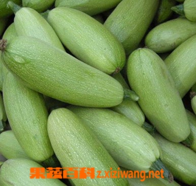西葫芦的营养价值是什么