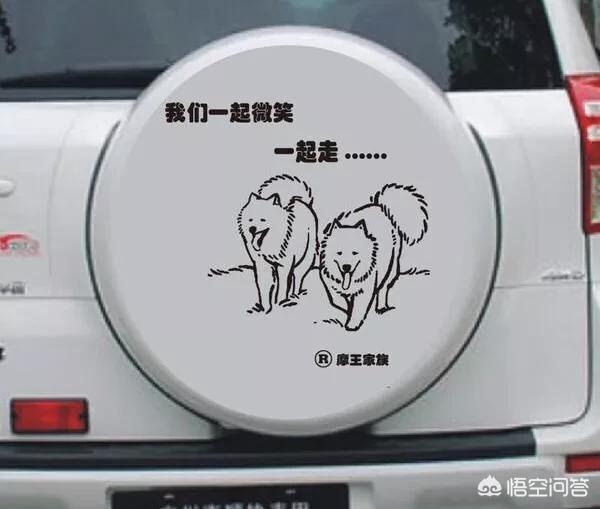 汽车备胎为什么越做越小？