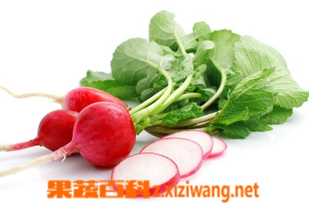 红萝卜的功效与作用