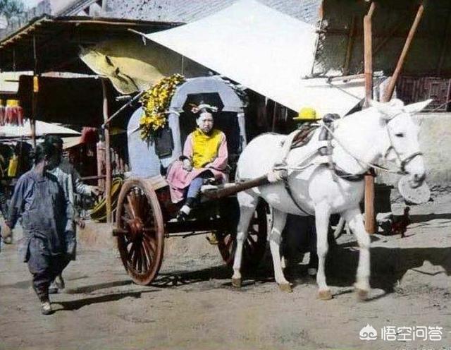 为什么中国的道路叫马路？