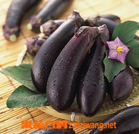 茄子烂果怎么办？茄子烂果防治