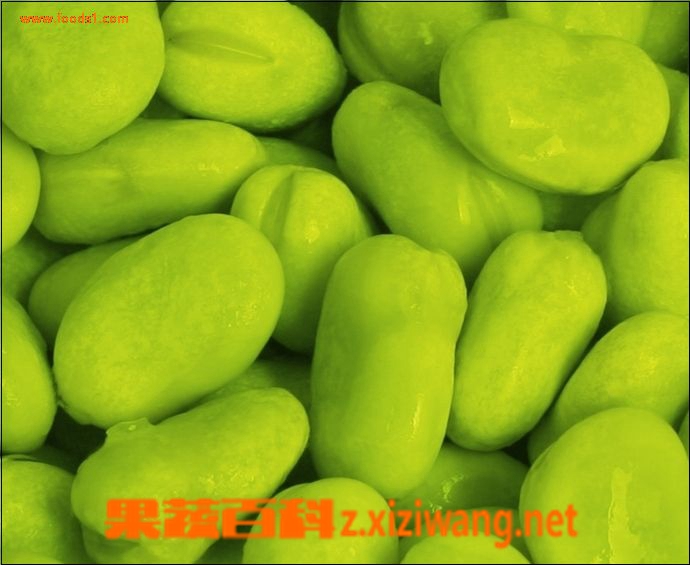 蚕豆如何储藏?