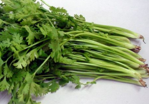 菜市场的菜都是用什么保鲜的 为什么摘的菜一会就焉了